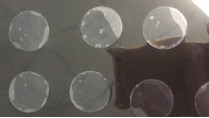3R GELIFICANO i punti adesivi smontabili tagliati spessi dei prodotti dell'unità di elaborazione 0.3mm